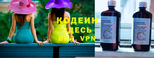 дживик Белокуриха