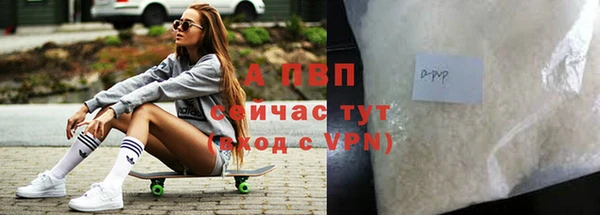 дживик Белокуриха