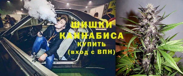 дживик Белокуриха