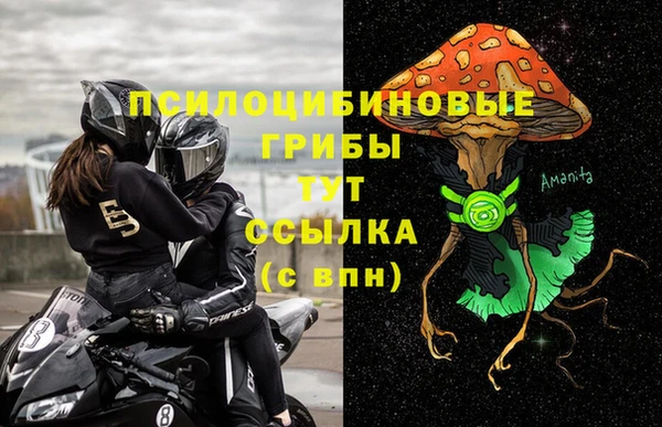 крисы Беломорск