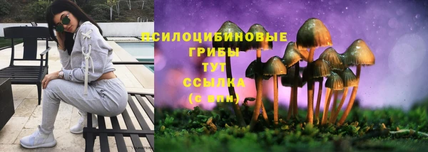 крисы Беломорск